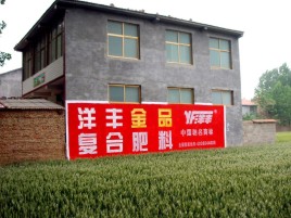 施甸如何让墙体广告展现最大化效果