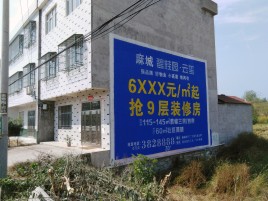 施甸墙体广告质量分析