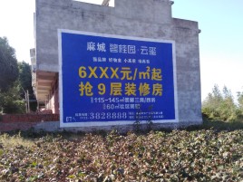 施甸品牌公司青睐的墙体广告