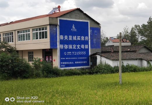 施甸决定墙体广告价格的因素有哪些？